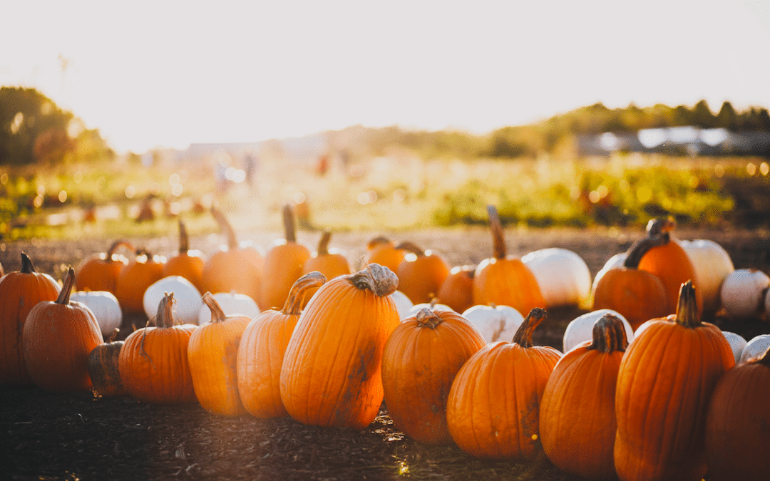 Fun Fall Events For Residents